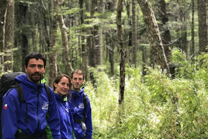 Trekking Mirador el volcano + Geometric hot springs - Who should book this Pucón day trip?