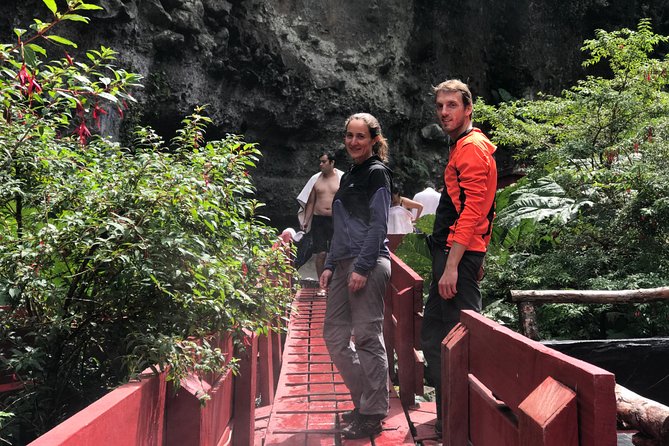 Trekking Mirador el volcano + Geometric hot springs - The first three hours: forest, araucarias, and steady climbing