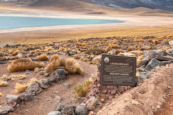 Triple Excursion: Red Stones, High Plains and Chaxa - Socaire, a short stop with local character