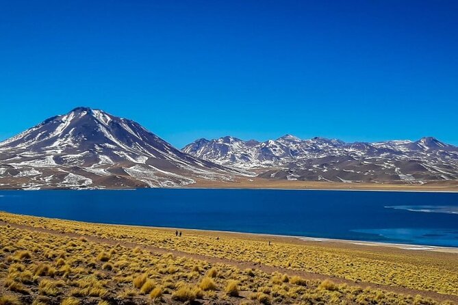 Triple Excursion: Red Stones, High Plains and Chaxa - Piedras Rojas and the red rock country