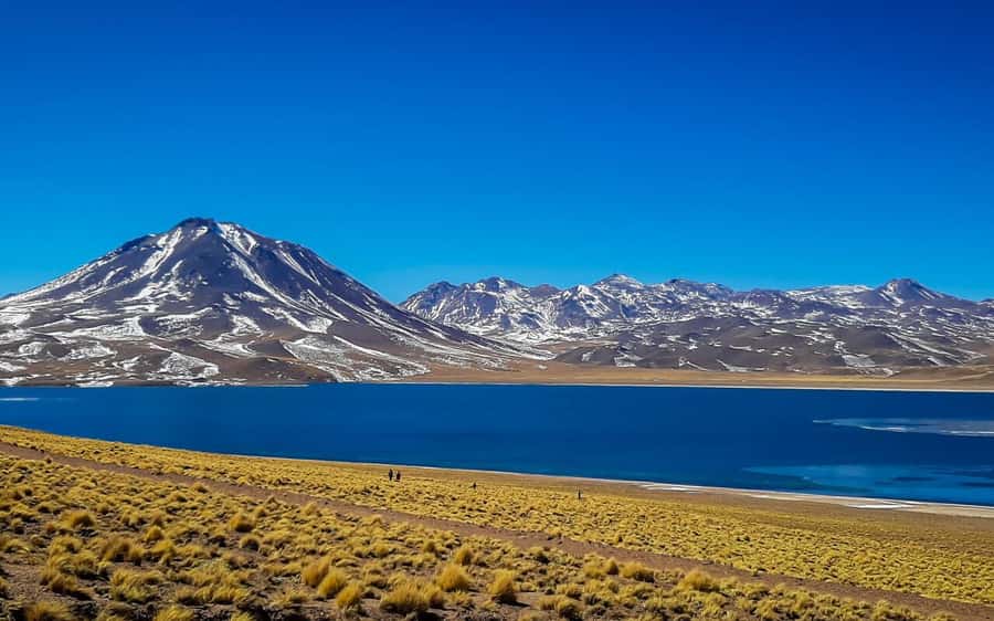 Triple tour: Red stones, highland lagoons and Chaxa Lagoon - Key points to know before you book