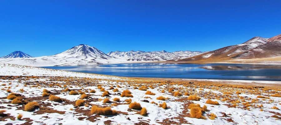 Triple tour: Red stones, highland lagoons and Chaxa Lagoon - Breakfast above San Pedro