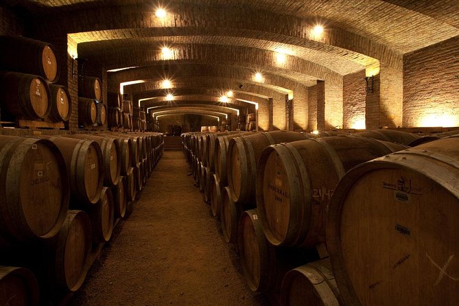 Undurraga Sibaris Tour Ticket - Inside the modern winemaking cellar