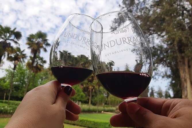 Undurraga Sibaris Tour Ticket - The family park and vineyard setting