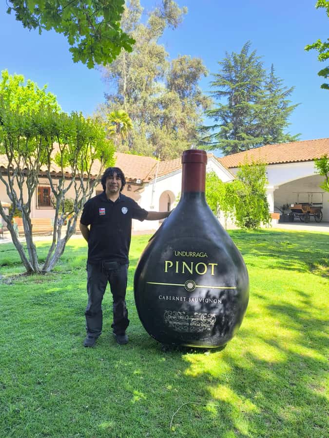 UNDURRAGA VINEYARD - What the 90-minute visit includes