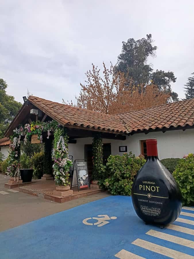 UNDURRAGA VINEYARD - Arriving at Undurraga Vineyard