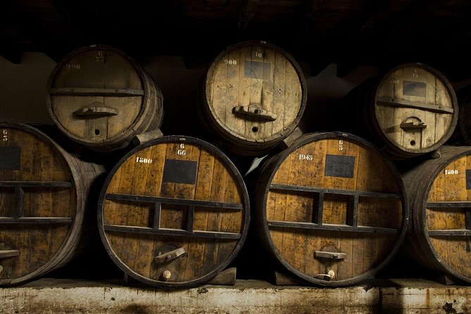 Undurraga Wine Tasting Tour from Santiago - From the vinification plant to the underground cellars