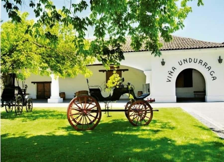 Undurraga Wine tour - From Santiago Pickup to the Winery