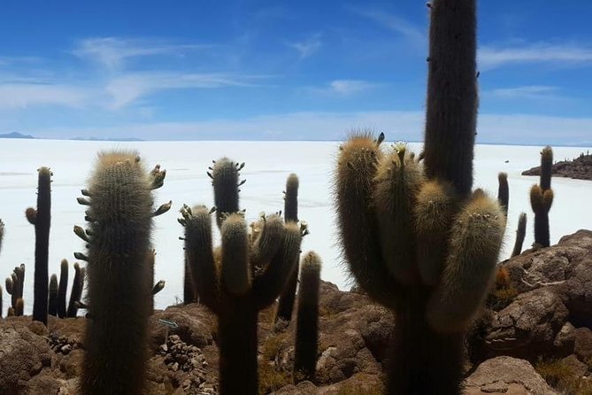 Uyuni Saltflat from San Pedro de Atacama ROUNDTRIP or ONE WAY to Uyuni - Food, vehicles, and daily comfort