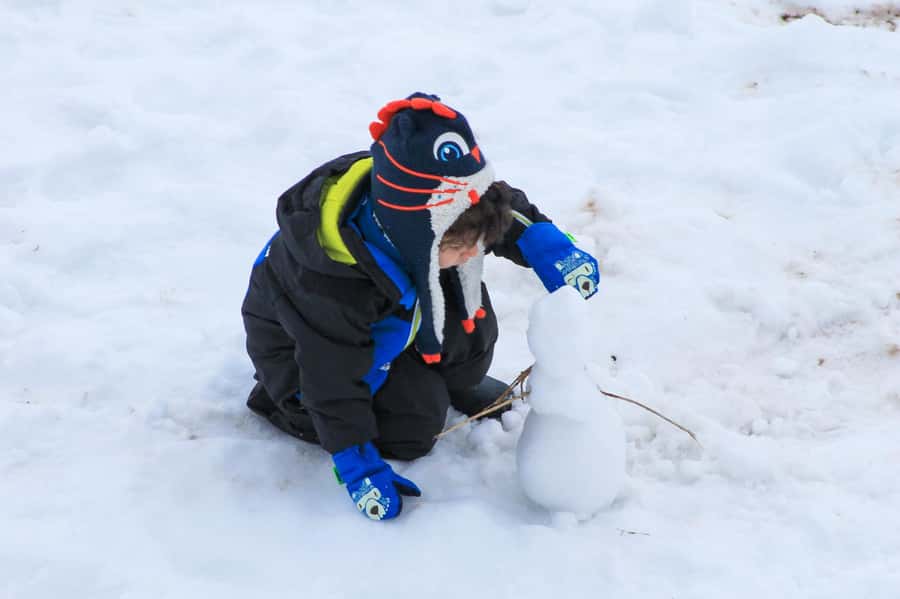 Valle Nevado Tour - Starting in Santiago at three convenient points