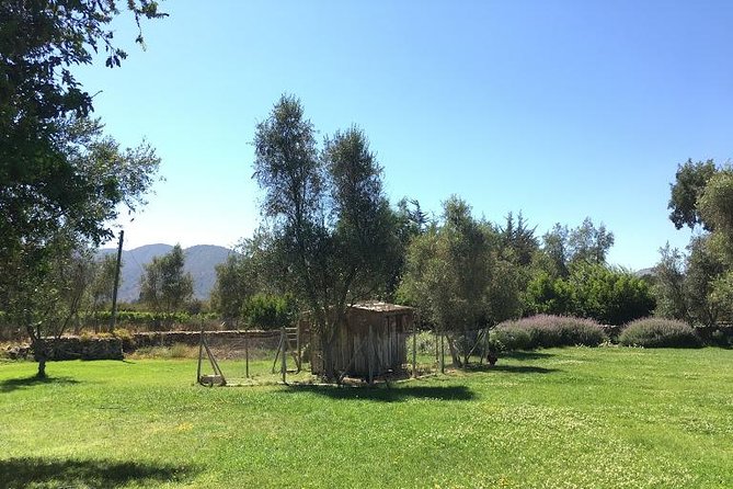 Valley of Casablanca - Why Casablanca Valley works as a day trip