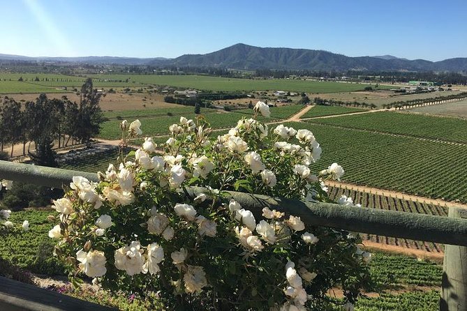 Valley of Casablanca - Who will enjoy this six-hour outing