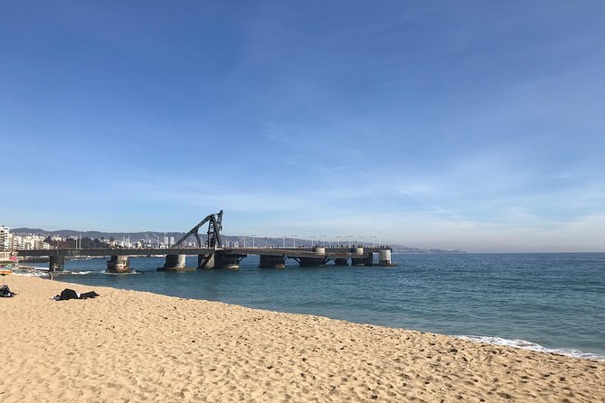 Valparaíso and Viña del Mar for 1 day - Who will enjoy this coastal introduction