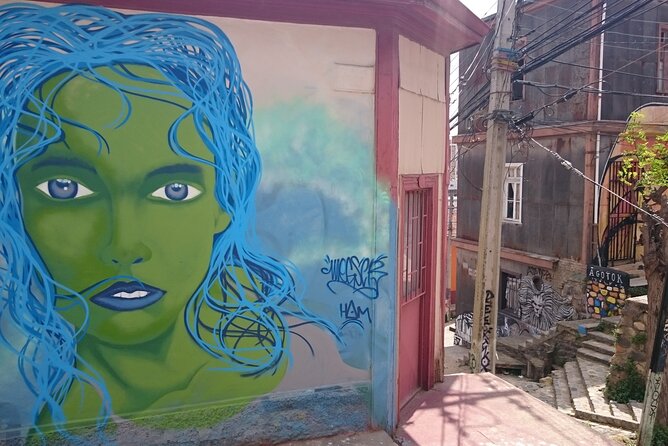 Valparaiso and Viña del Mar Full-Day Private Guided Tour - Why this private day trip works from Santiago