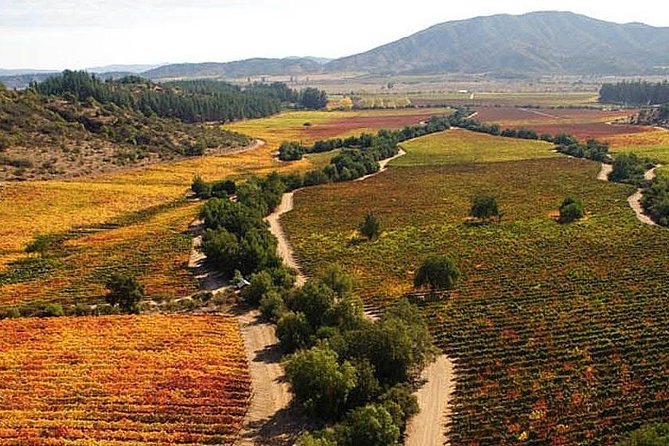 Valparaiso & Casablanca : Wine, Gastronomy and Living Culture - Casablanca Valley: a short introduction to Chilean wine