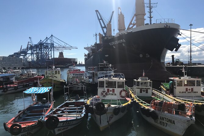 Valparaíso: Heritage, Art & Queer Culture Tour - Key points at a glance
