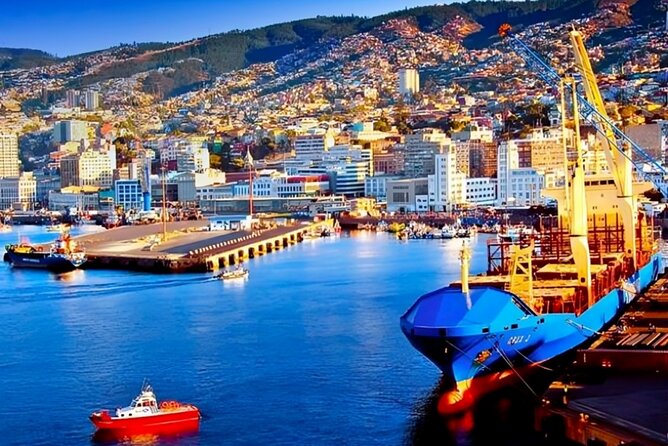 Valparaiso Highlights Walking Tour with A Guide - Paseo Yugoslavo and Palacio Baburizza