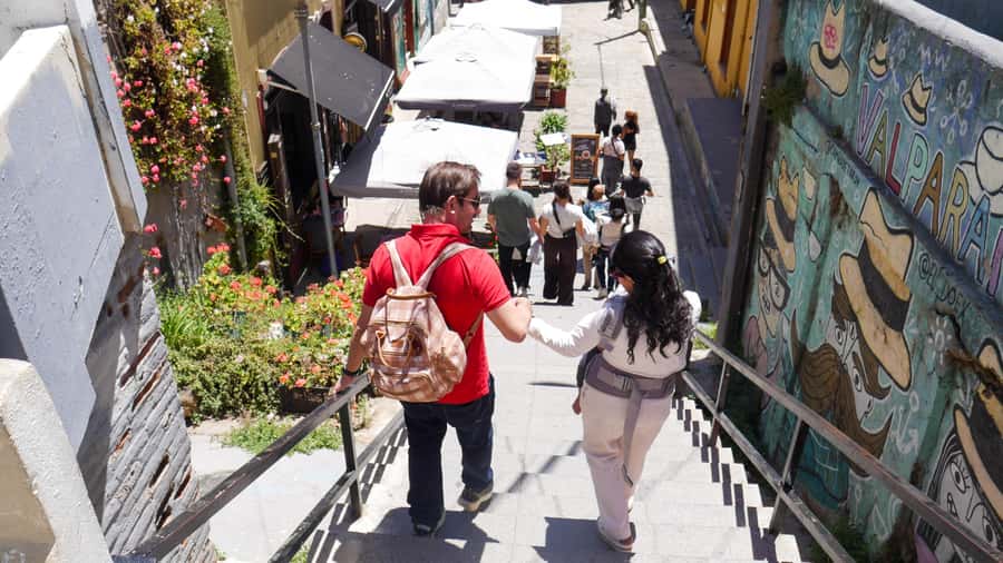 Valparaiso Port and Viña del Mar, Wine tasting in Casablanca - Should you book this Valparaíso and Casablanca tour?