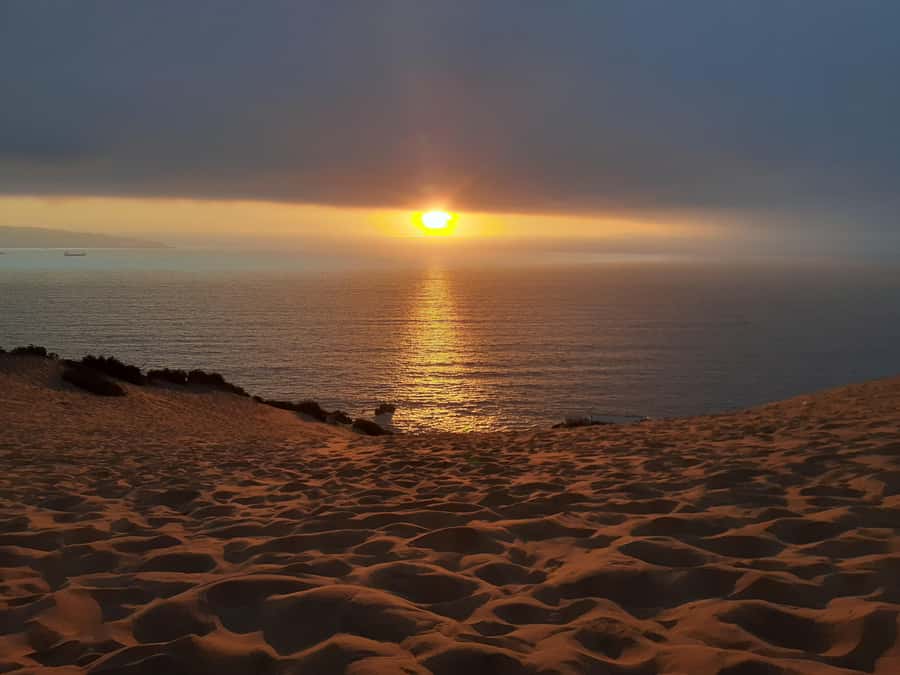 Valparaíso: Sandboarding and Sunset in Concon Sand Dunes - From Viña del Mar to the Concón dunes