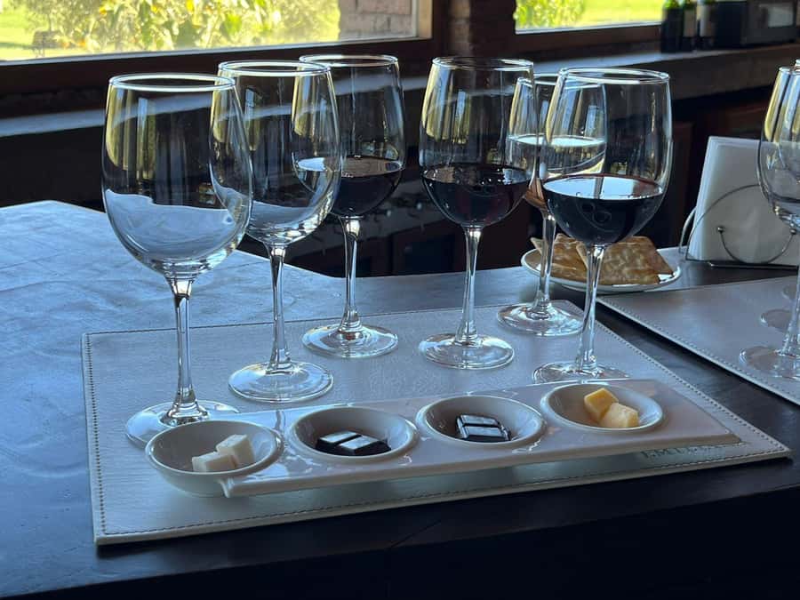 Valparaíso to Casablanca: wine tour with premium tasting and transportation - The 30-Minute Vineyard Visit