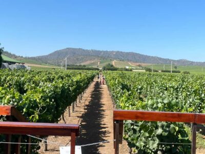 Valparaíso to Casablanca: wine tour with premium tasting and transportation