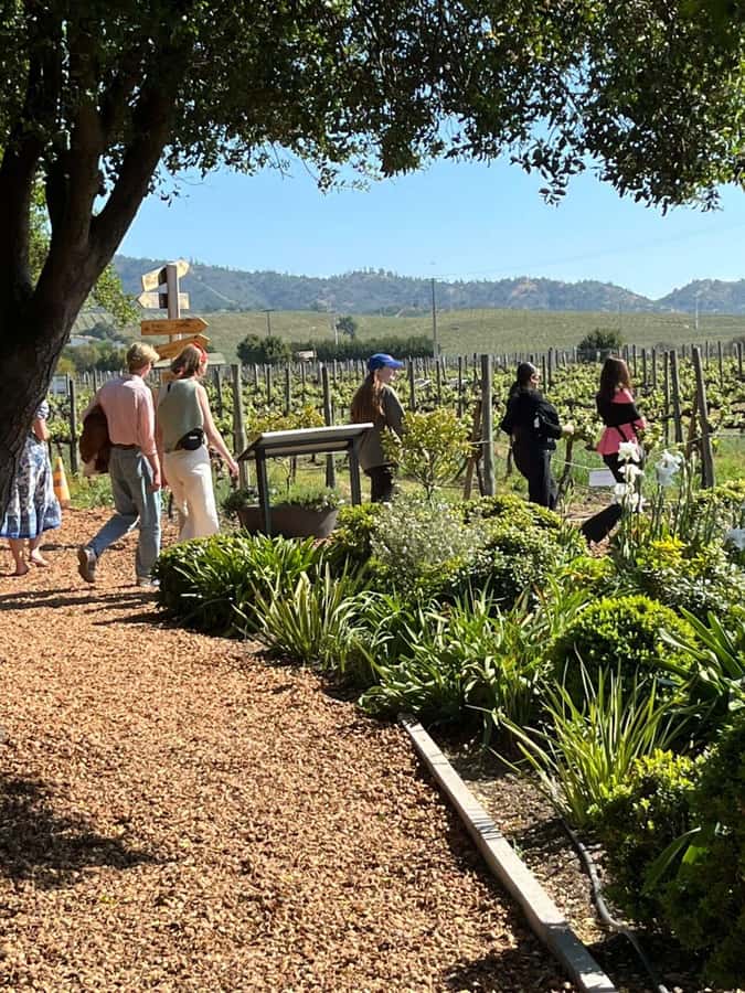 Valparaíso to Casablanca: wine tour with premium tasting and transportation - Premium Tasting: 45 Minutes With the Winery’s Better Bottles