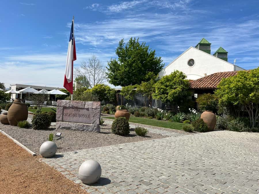 Valparaíso to Casablanca: wine tour with premium tasting and transportation - Shopping and a 45-Minute Walk Around the Winery