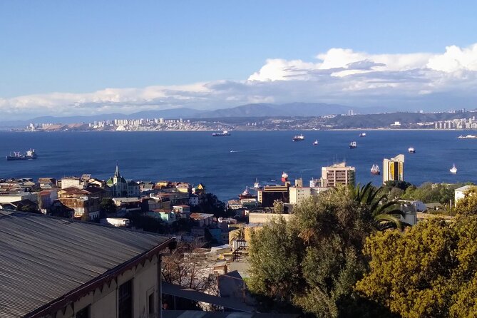 Valparaíso Viña & Casablanca Day Trip from Santiago (Max 7) - What this Santiago day trip is really designed to do