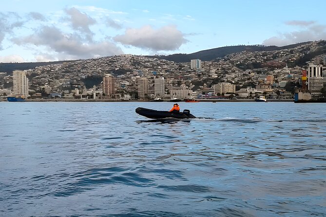Valparaíso Viña & Casablanca Day Trip from Santiago (Max 7) - Avenida Peru gives you the Pacific view