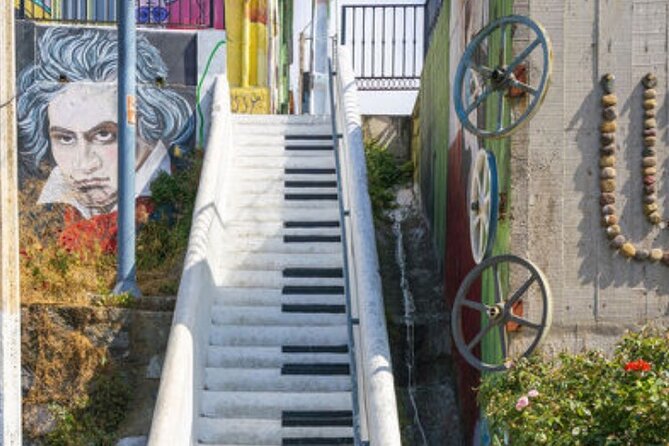 Valparaiso, Viña del M, Vineyard testing, Sea lions, Boat ride - Valparaiso’s hills, street art, and historic quarter