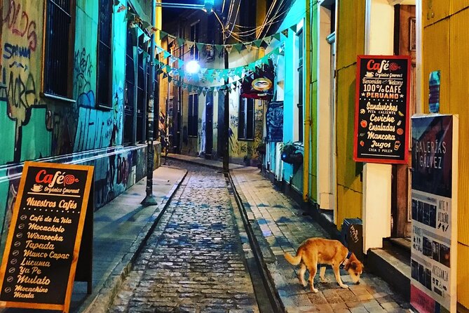 Valparaiso, Viña del M, Vineyard testing, Sea lions, Boat ride - Guide quality and the small-group advantage