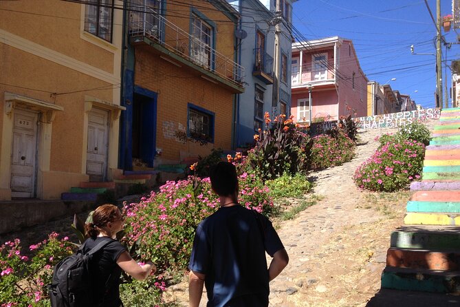 Valparaiso Walking tour from Santiago - Cerro Concepcion and Cerro Alegre