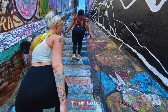 Valparaíso & Wine Tasting – Art, Culture & 5 Premium Wines - Key points at a glance