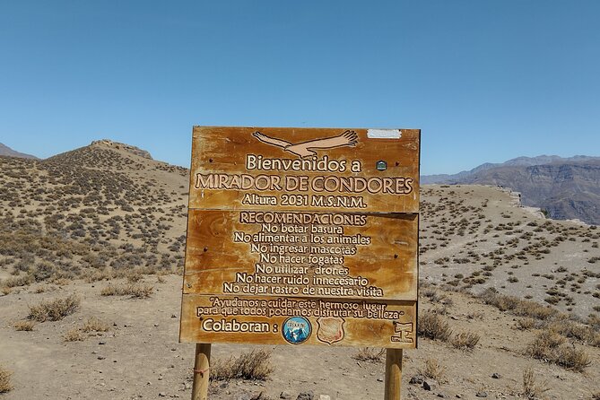 Viewpoint of Condors Cajón del Maipo - Key points to know before booking