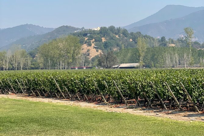 VIK Private Tour Millahue Valley Experience - Leaving Santiago at 8:00 a.m.