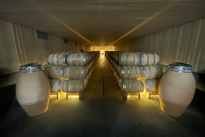 VIK Private Tour Millahue Valley Experience - Lunch choices and what the price leaves out