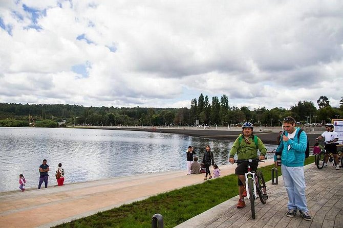 Villarrica / Araucania Airport - The value of $110.87 for a private group
