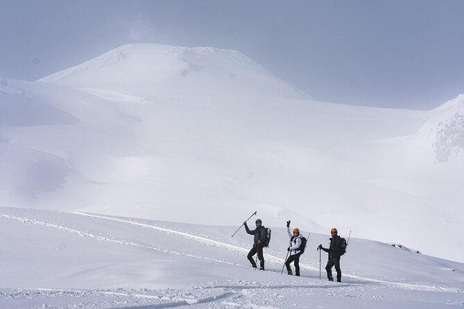 Villarrica Volcano Ascent - Zenit - Key points before you book