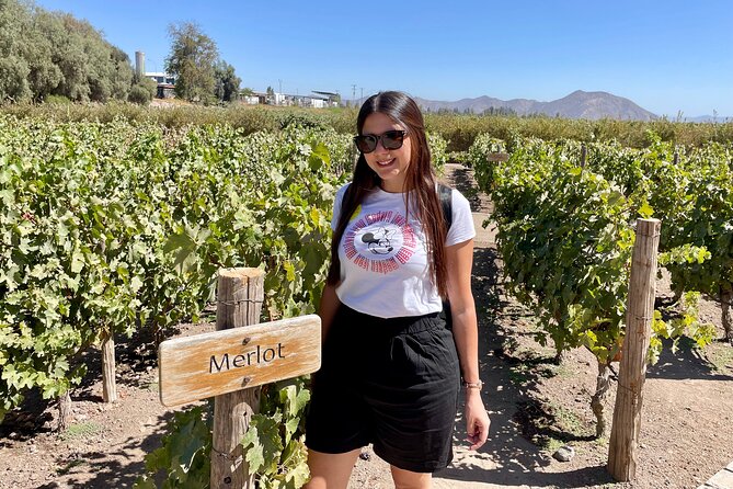 Viña Concha and Toro Tour (half day) - Language deserves a quick check
