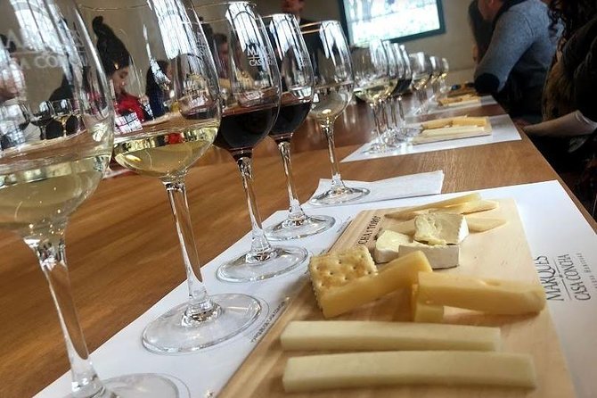 Viña Concha and Toro Tour (half day) - Hotel pickup keeps the morning simple