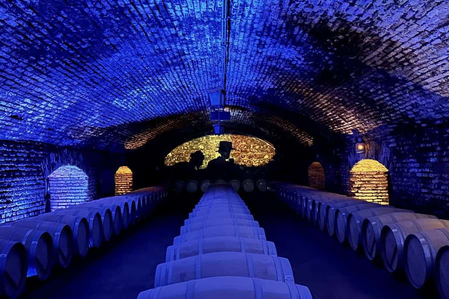 Viña Concha y Toro Nighttime: Dinner Show - Is $207 a fair price?