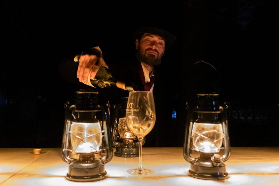 Viña Concha y Toro Nighttime: Dinner Show - Who should book this nighttime vineyard visit?