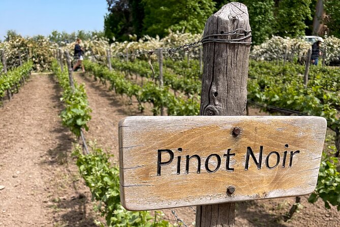 Viña Concha y Toro: Premium Wine Center Tour - Lunch, the restaurant, and the long gaps