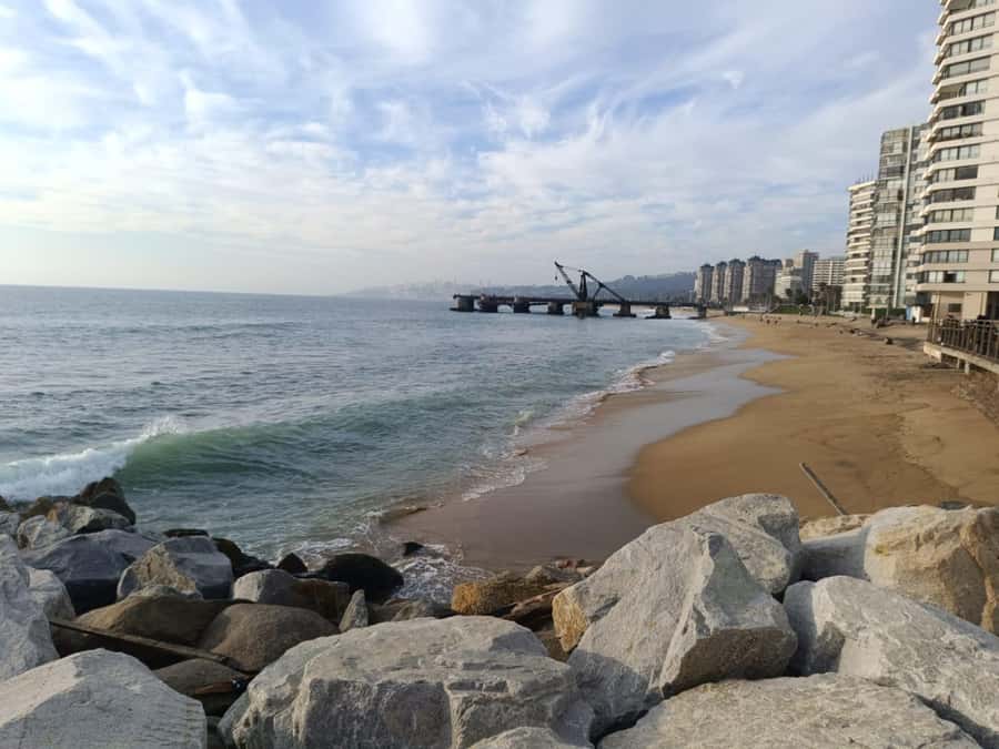 Viña del Mar: Guided city tour - Walk through Viña’s civic and cultural center