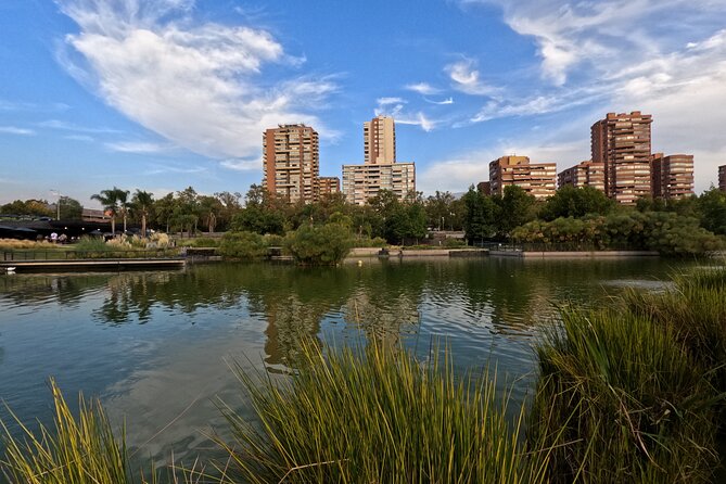 Visit to Baháʼí Temple with Panoramic Views of Santiago - The vehicle ride and group size