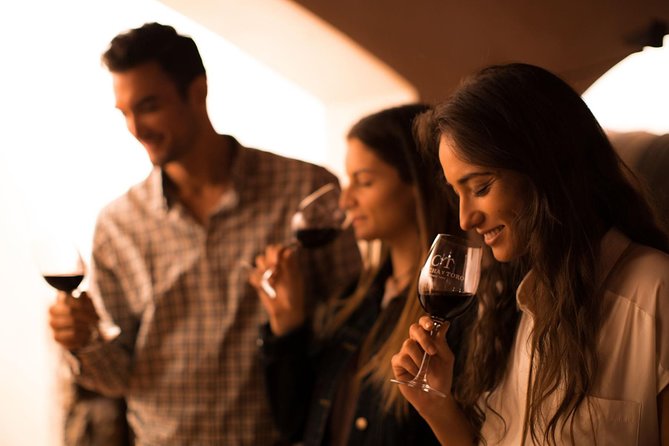 Visita Guiada Premium Centro del Vino Concha y Toro - Key points to know before you go