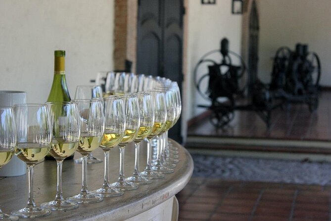 Visita Guiada Premium Centro del Vino Concha y Toro - The Concha y Toro family estate and gardens