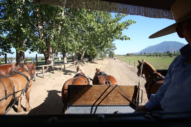 Viu Manent and Montes Winery, Colchagua Valley from semi-private - Montes: four premium wines in 90 minutes