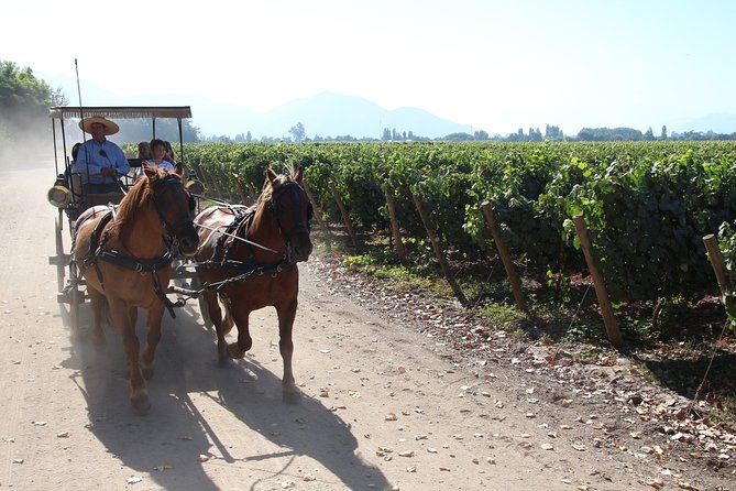 Viu Manent and Montes Winery, Colchagua Valley from semi-private - Viu Manent: five pours and a long family connection