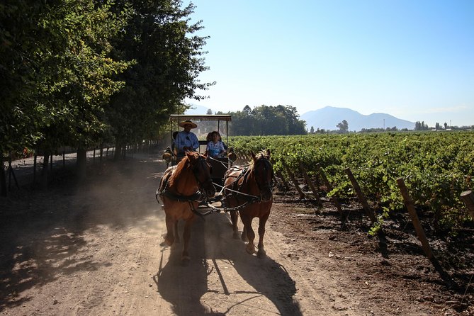 Viu Manent and Montes Winery, Colchagua Valley from semi-private - What the $280 price really buys you
